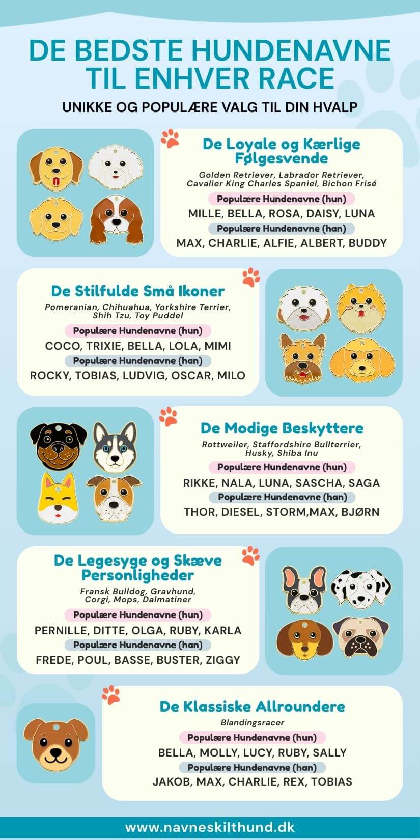 Bedste hundenavne efter race, ideel til namnbricka hund og id bricka hund